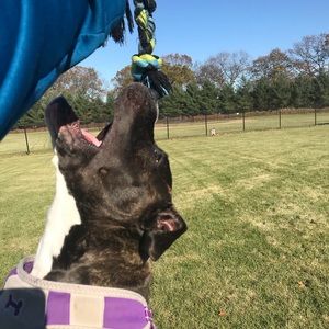 Meet your Posher, Jesse